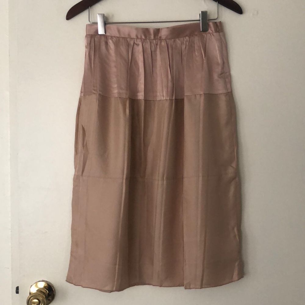 Rag and Bone skirt